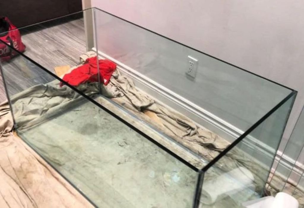 Finishing the Hole and Preparing for Bulkhead Installation